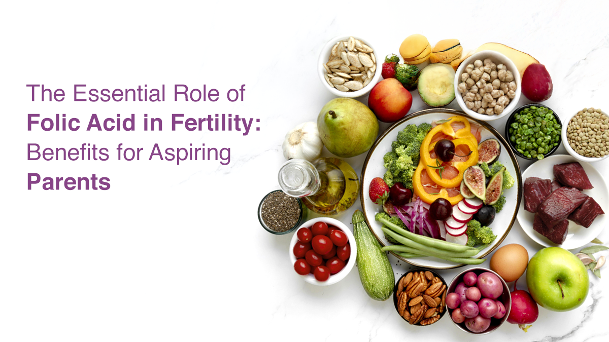 Golden Nutrition for Aspiring Parents Boosting Your Fertility
